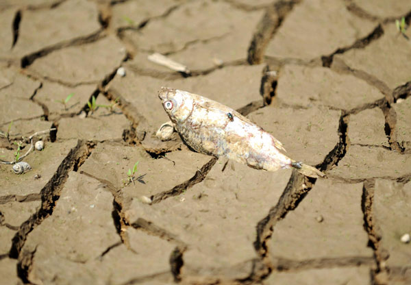 China's largest freshwater lake shrinking