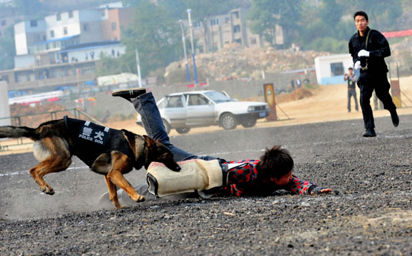 Air-raid, anti-terror drill staged in SW China