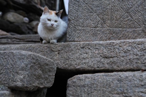 1,200-year-old village with 17 residents