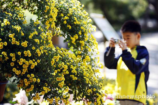 Autumn photos: Time for photographer