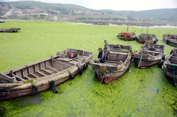 Sea grass clean-up for Asian Beach Games