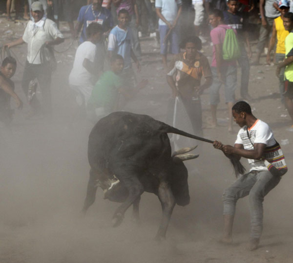 Traditional bullfight in Colombia