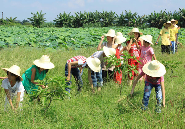 Children learn labor skills during vacation