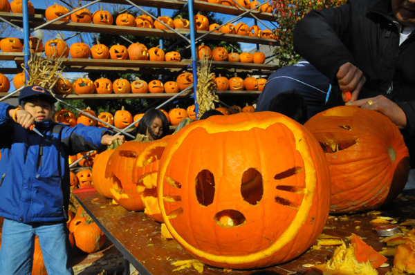 40,000 pumpkins lit to beat Guinness World Record