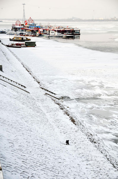 Harbin section of Songhua River closed for season