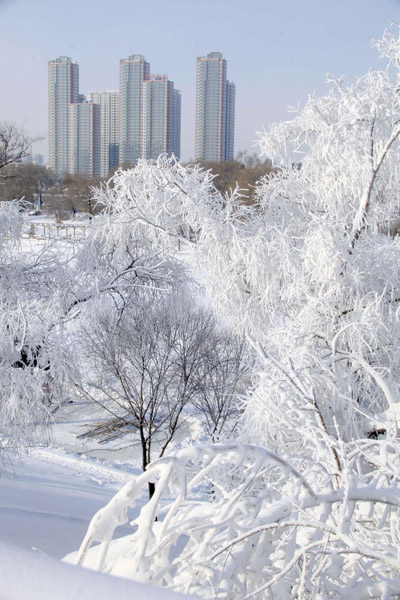 NE China covered in wintry ice