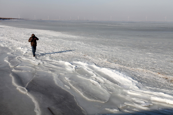 Sea freezes as mercury drops