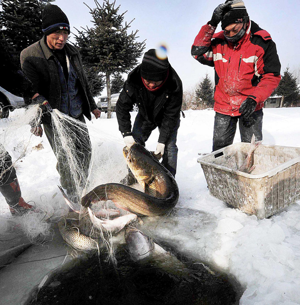 Winter fishing festival marked in NE China