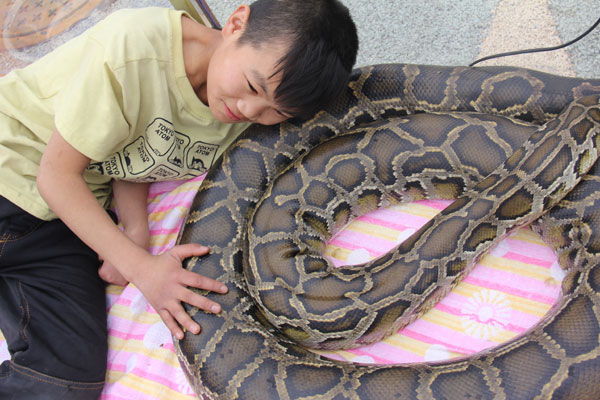 Boy stays with pet python in S China