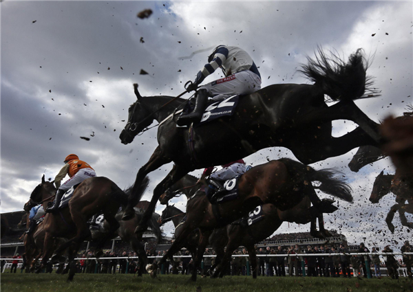 Horse races at Cheltenham Festival