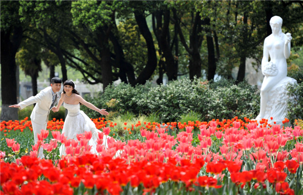 Flowers in bloom