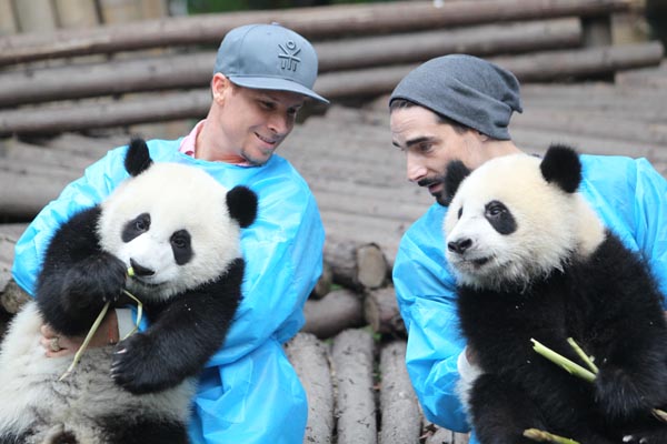 Backstreet Boys love China's pandas