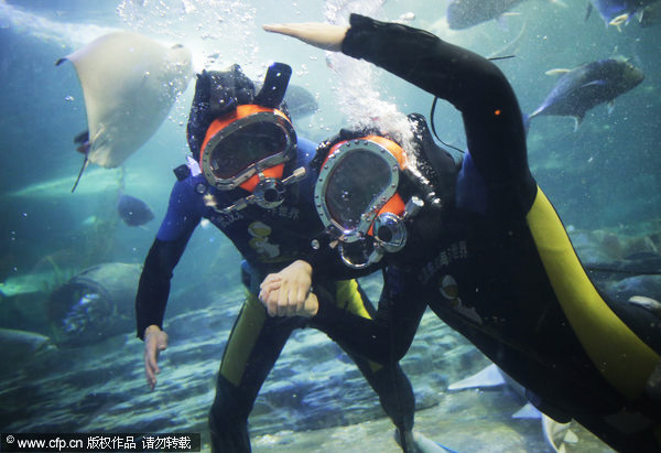 Friends with marine life at Wuhan's Sea World