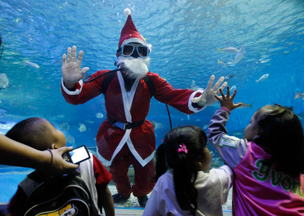 Santa Claus swims at the Manila Ocean Park