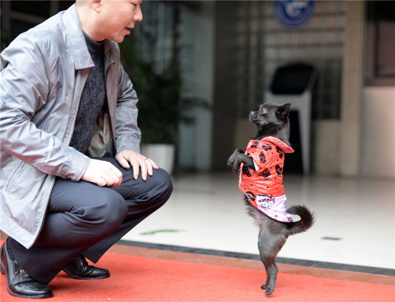 Walking dog in SW China