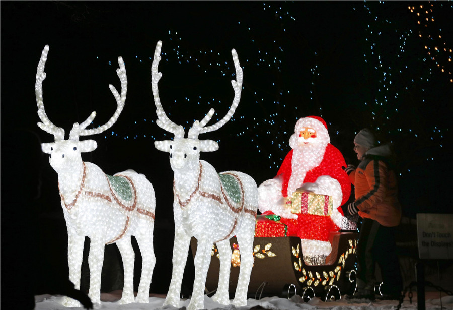 'ZooLights' at Chicago's Lincoln Park Zoo