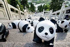 Paper pandas continue tour in Hong Kong