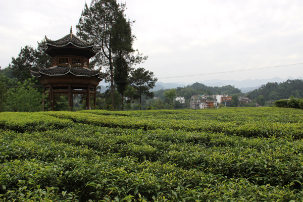 Enshi prefecture welcomes reporters