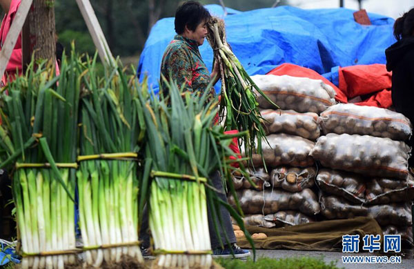 A farewell to Chinese cabbages, turnips, and spring onions