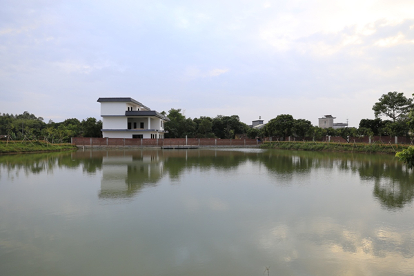 Villages in Huizhou strive for green economy