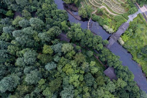 Guiyang wetland protection marshes on