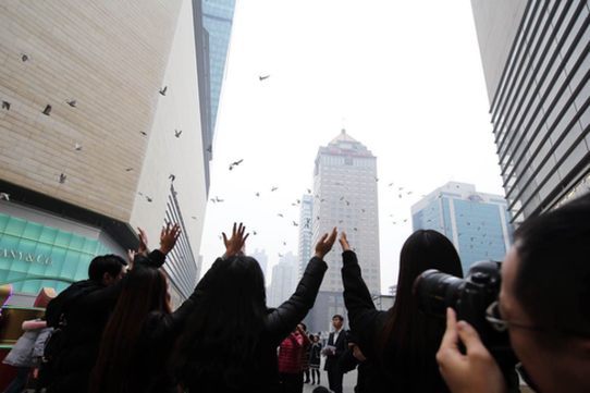 Nanjing holds ceremonies to mark Nanjing Massacre Remembrance Day