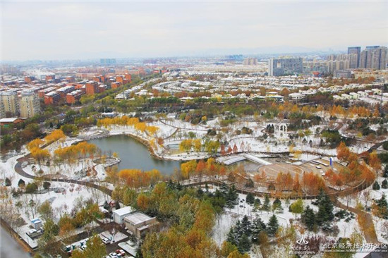 Year's first snow comes to Beijing Economic Development Area