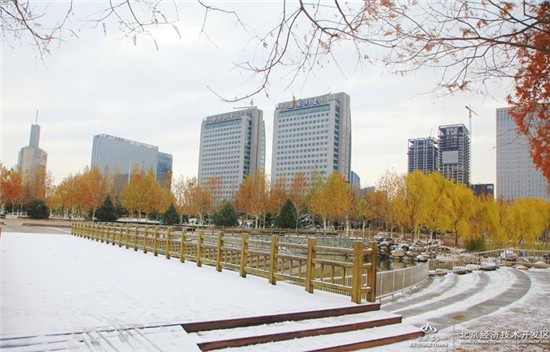 Year's first snow comes to Beijing Economic Development Area