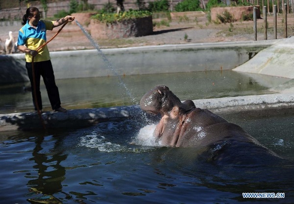 Heat wave hits Chongqing