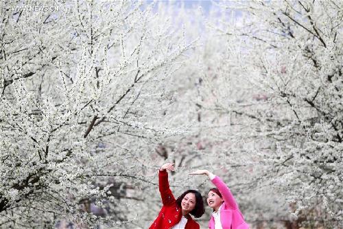 Spring scenery attracts visitors in China's Chongqing