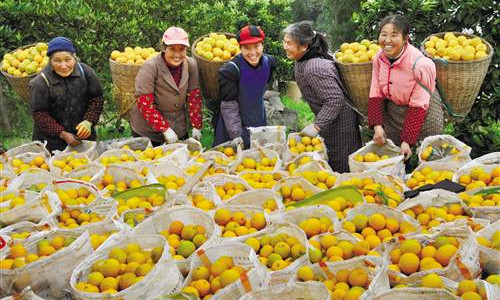 Greener mountains, richer farmers