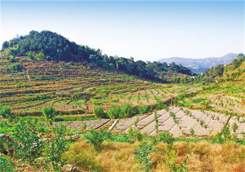 Greener mountains, richer farmers