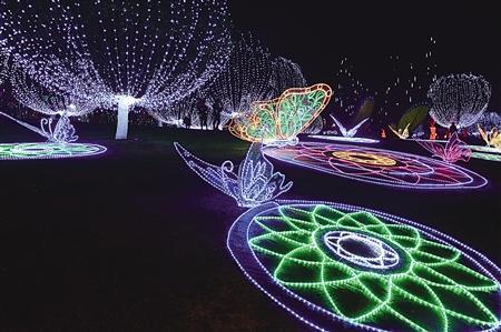 Spectacular light show on display in Chongqing Garden Expo Park