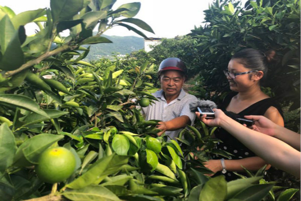 Green farming taking roots in Chongqing