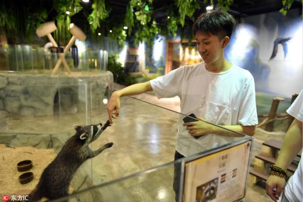 Overseas returnee opens indoor petting zoo in Chongqing