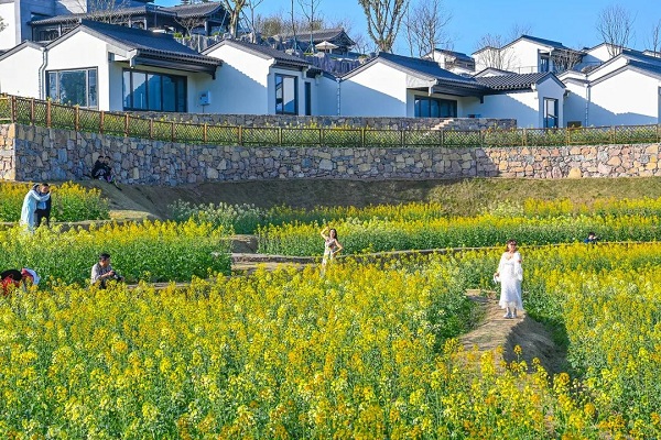 Have an Arcadian spring in Liangjiang