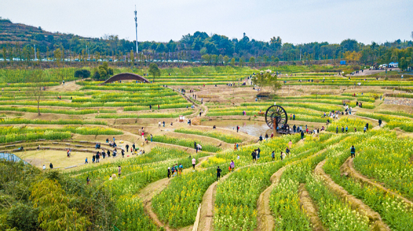 Have an Arcadian spring in Liangjiang