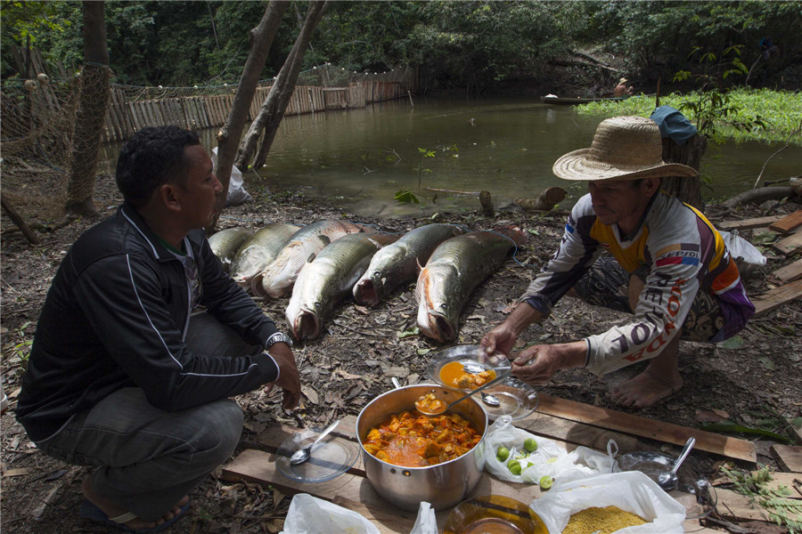 Fishing for living fossils