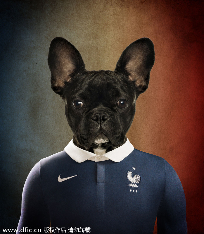 Dogs in national football team jerseys