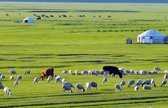 23rd Nadam Fair opens in Bairin Right Banner, N China