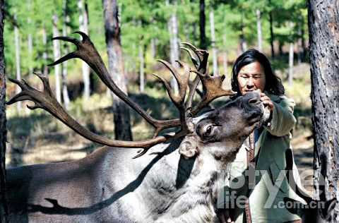 Visiting the hometown of reindeers in China