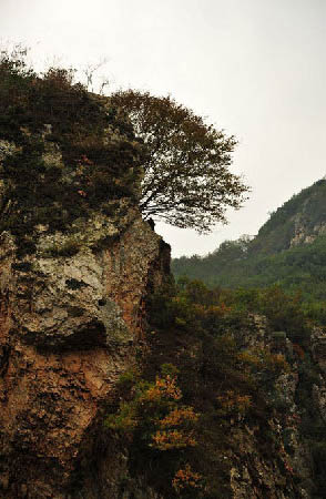 Dalian Bingyu Valley, China's Liaoning