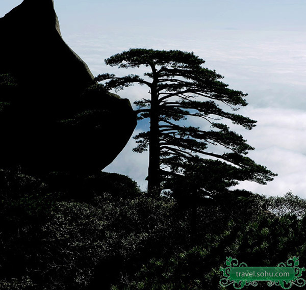 Tianzhu Mountain in Anhui