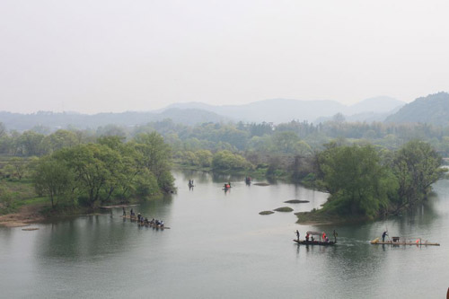 Rape Flowers in Wuyuan