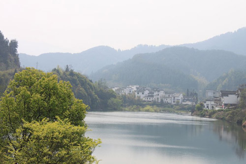 Rape Flowers in Wuyuan