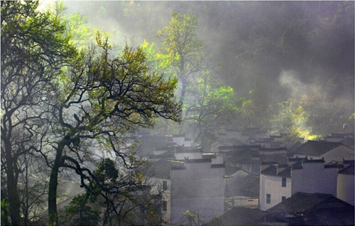 Rape Flowers in Wuyuan