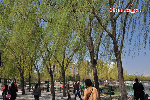 Spring in China: Lianhuachi Park