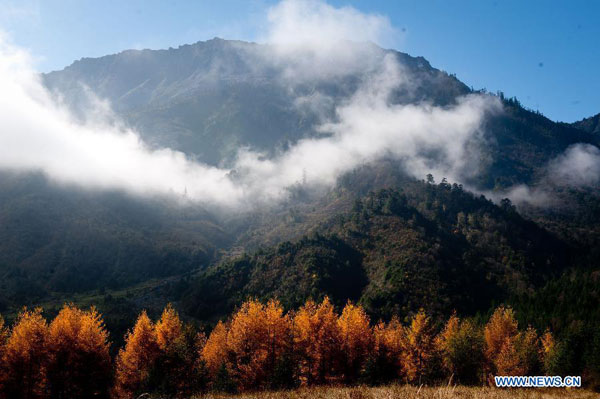 Autumn scenery of Jiajinshan National Forest Park in Sichuan