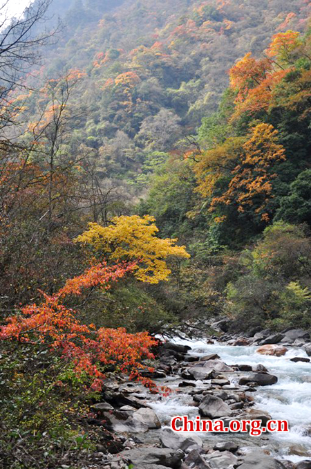 Trip to Dongla Mountain Grand Canyon