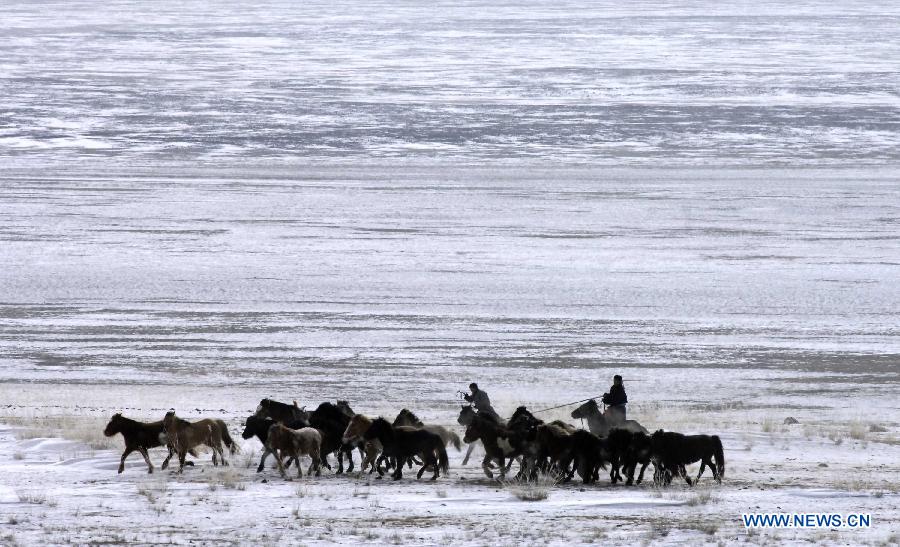 Snow-covered Xilin Gol grassland in China's Inner Mongolia